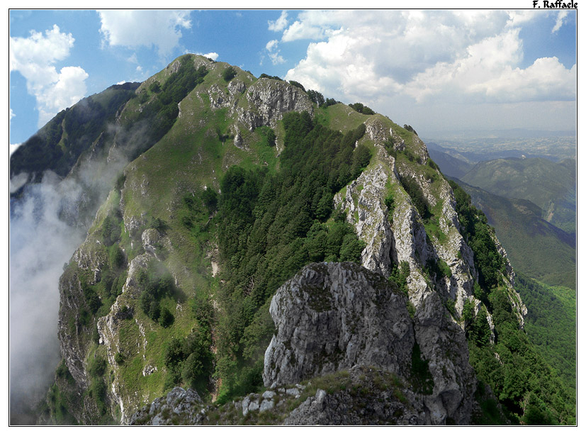 Accellica_FR-Varco_Paradiso
