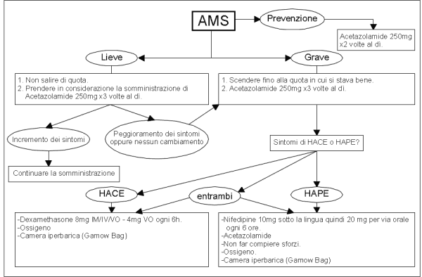 Diagramma AMS